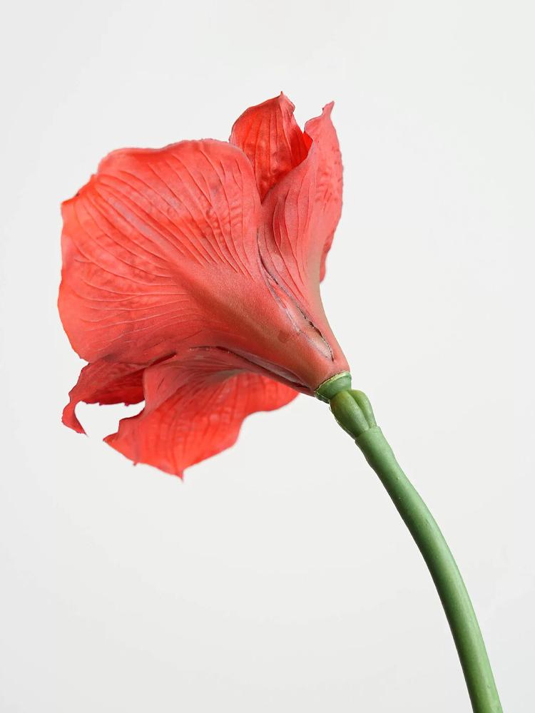 Flori Roșii Artificiale Mari Tije Lungi Flori Clivia Roz Nuntă Roșu Anul Nou Crăciun Decorațiune Casă