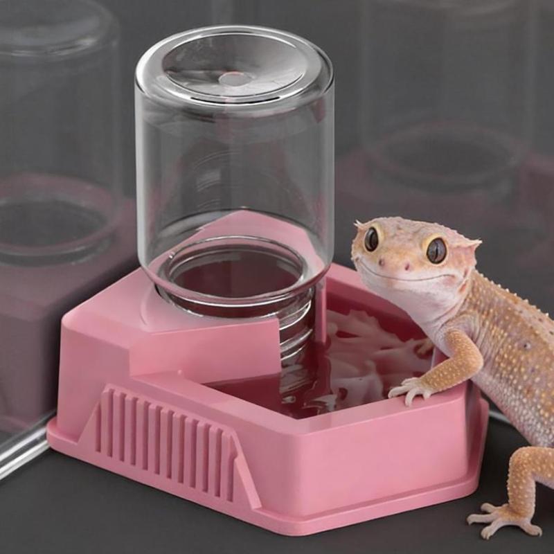 Reptile Food Feeder Bowl,Ornament Portable Easy To Clean,Drinking Tool Feeding Accessories Water Dispenser For Snakes Tortoise