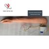 Venous Puncture & Infusion Training Arm Model