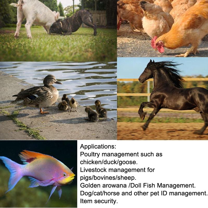 Leitor de Chip de Identificação Animal USB Portátil 12W 134.2KHz FDX-B Para Cães Gatos Display LCD Scanner de Microchip Animal Etiqueta