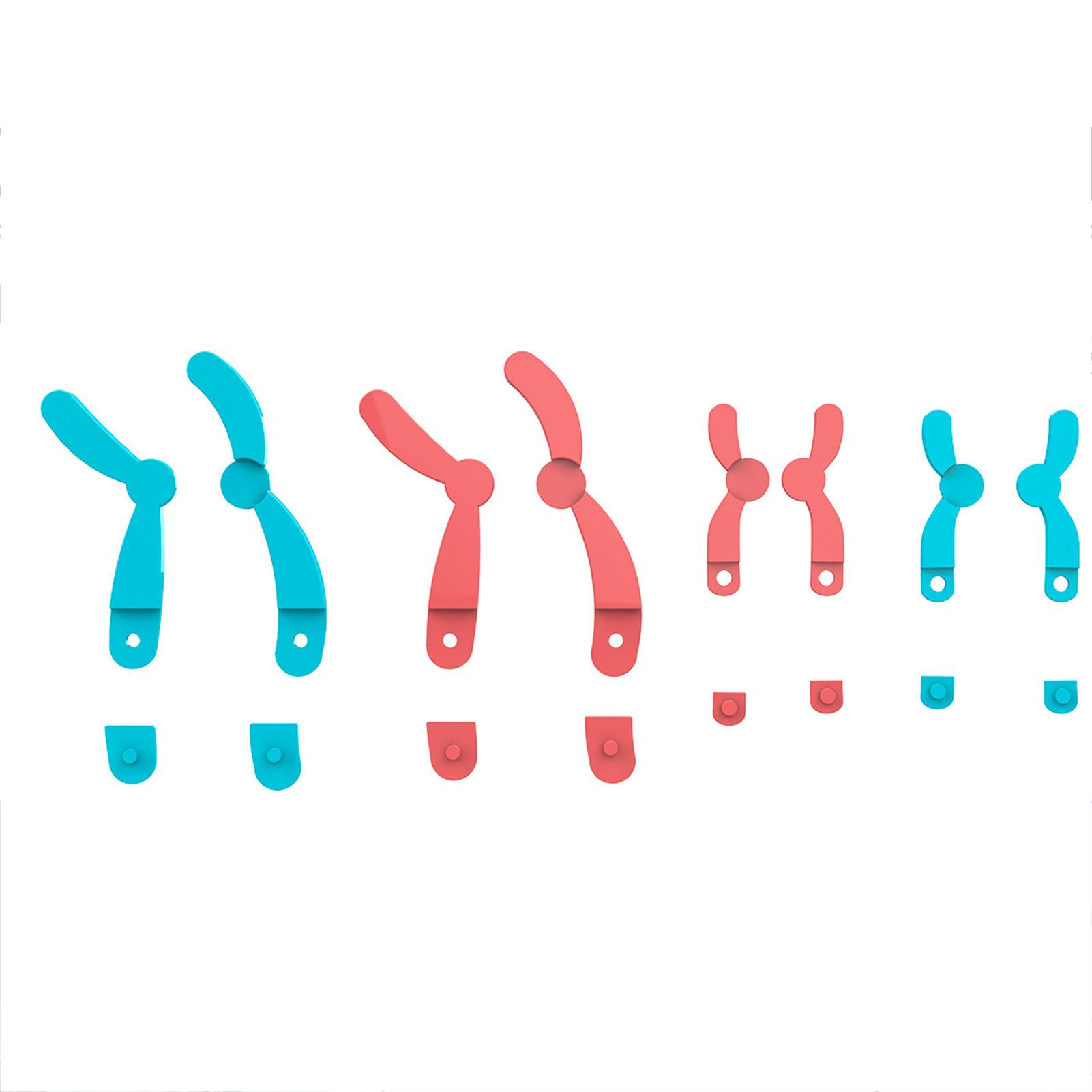 DNA Model Kit Herbruikbaar Afneembaar Draagbaar Meiosis Chromosoom Model voor Onderwijs Biologie Lesmateriaal Klaslokaal