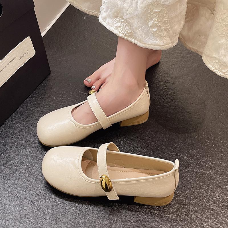 Spring and summer small skirt 2025 new French high heels small leather shoes women Mary Jane evening shoes thick heel single shoes