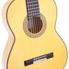 ARIA Flamencogitarre mit Softcase Spr ACE-9F