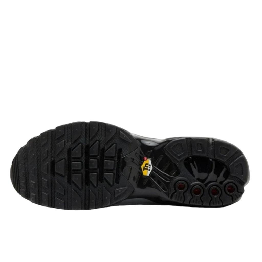 Nike Air Max Plus Tiempo Wolf Grey Black