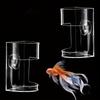 1pc Transparent Round Aquarium Feeder Bowl Aquarium Acrylic Fish Feeder Wall-Mounted Fish Feeding Tube Gardening Accessories