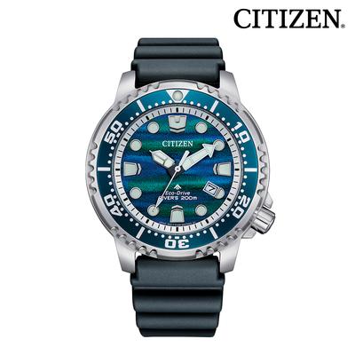 Herrenuhr BN0167-09W