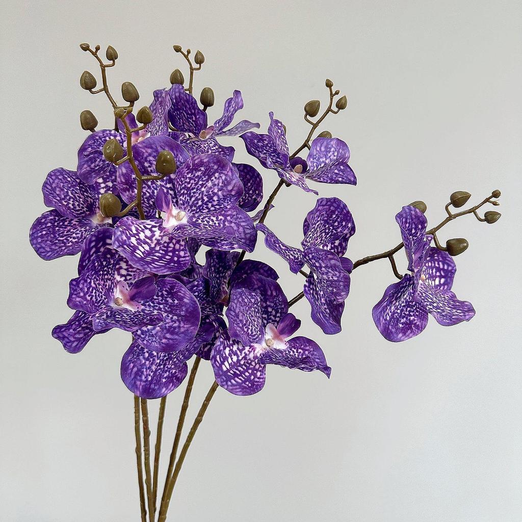 Moisturizing Phalaenopsis Vanda Orchid for Wedding and Home Decor