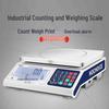 Huachao Gaoke High-Precision Industrial Counting Bench Scale (CN version)