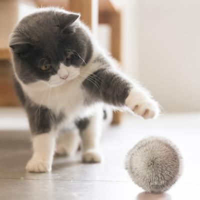 Nep Konijnenbont Kattenbal Pluizige Kattenkruidbal Kattenspeeltje Zachte Pluizige Bal Stimuleert het Jachtinstinct van Katten voor Kittens Binnen Spelen Oefening