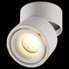 Adjustable Surface Mounted LED Spotlight