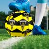 Alemannia Aachen Soccer Ball, Colorful, Suitable for All Ages, Machine-stitched, PVC Material, Competition Grade, Durable and High Bounce