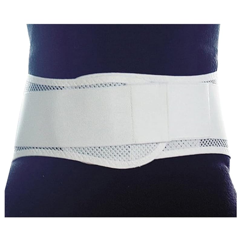 

waist fixation belt fit light LL / 8-1639-04