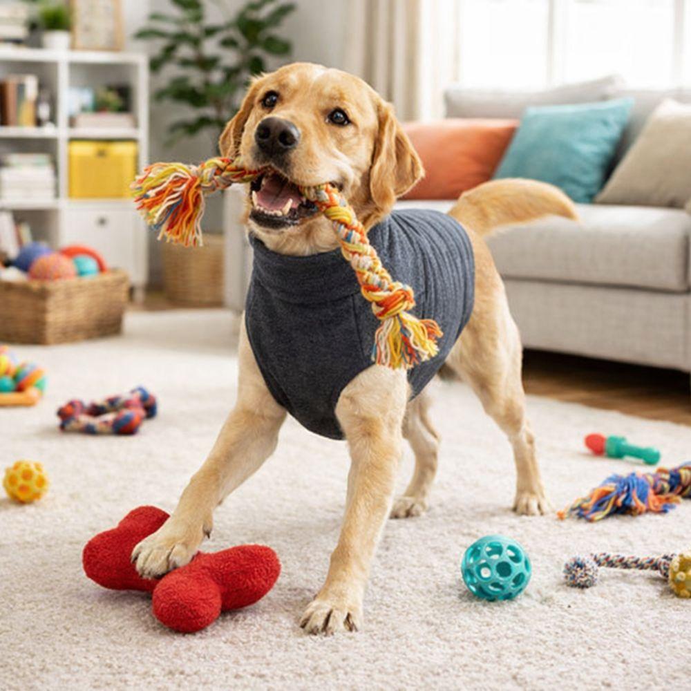 Adjustable Dog Anxiety Jacket Stretchy Pullover Dog Calming Shirt Pet Calming Vest Keep Pet Calm