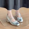 One-word Buckle Inner Height Increase Single Shoes Women's New Autumn Silver Small Thick Heel Mary Jane Small Leather Shoes