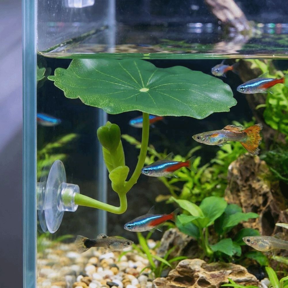 Artificial Fighting Fish Resting Leaves Simulated Lotus Leaves Fish Hammock Betta Fish Tank