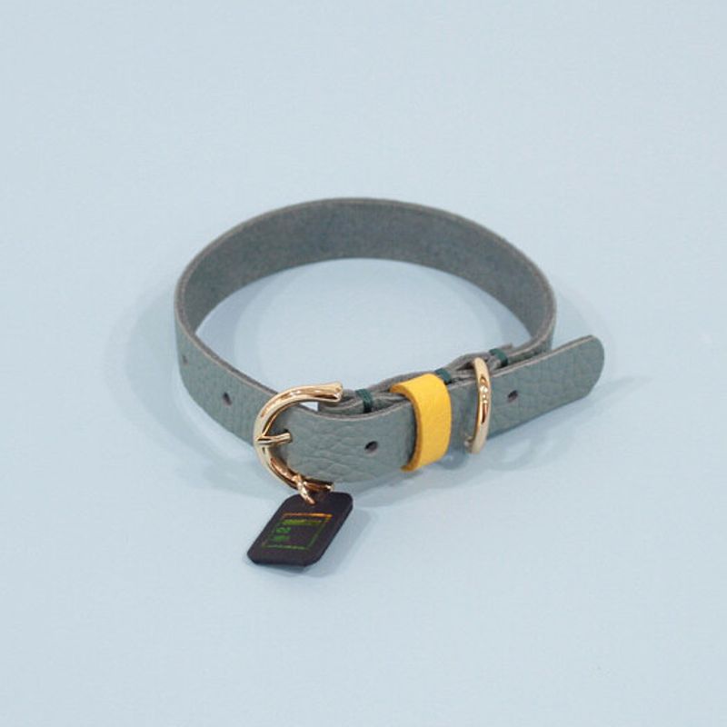 MAISON DE MIU Petsnal Color Leash Indian Blue/Yellow