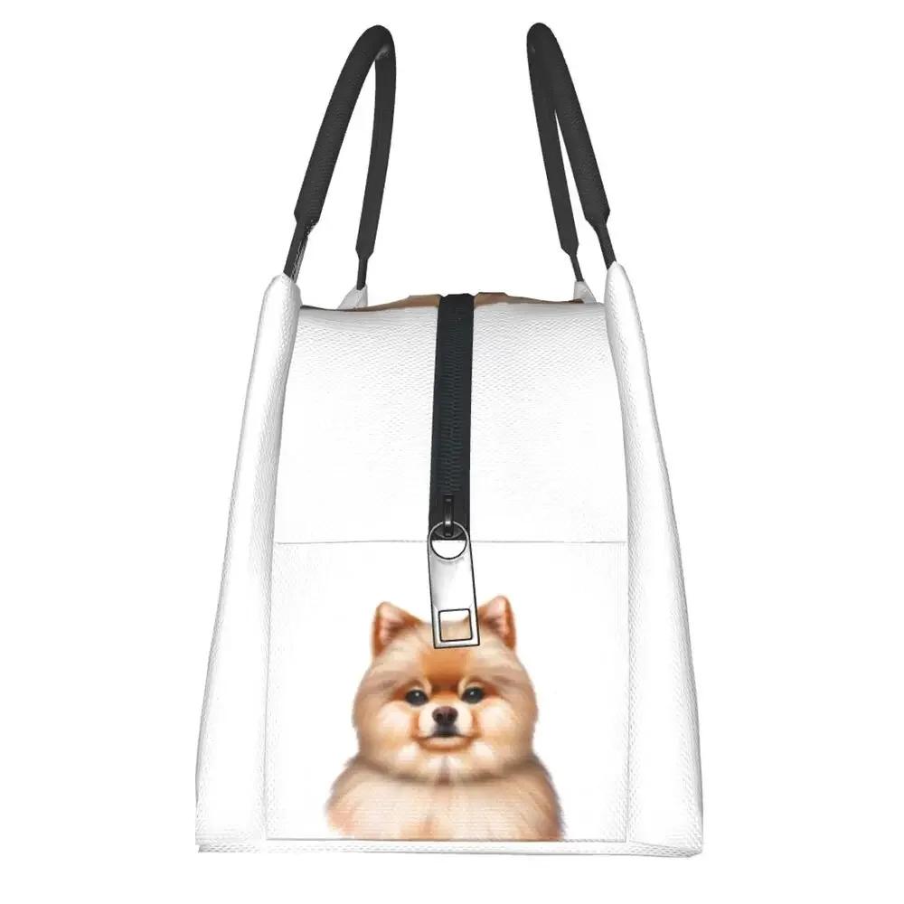 Cute Pomeranian Drawing Lunch Bags Insulated Bento Box Lunch Tote Picnic Bags Cooler Thermal Bag for Woman Kids School