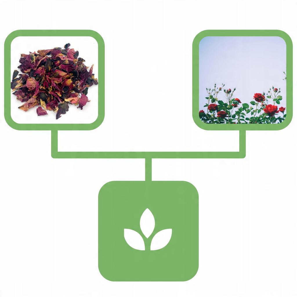 Rose Dried Rose Petals 1 Kg Natural Shop