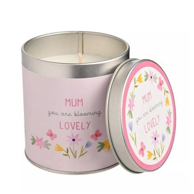 Velas – Velas perfumadas