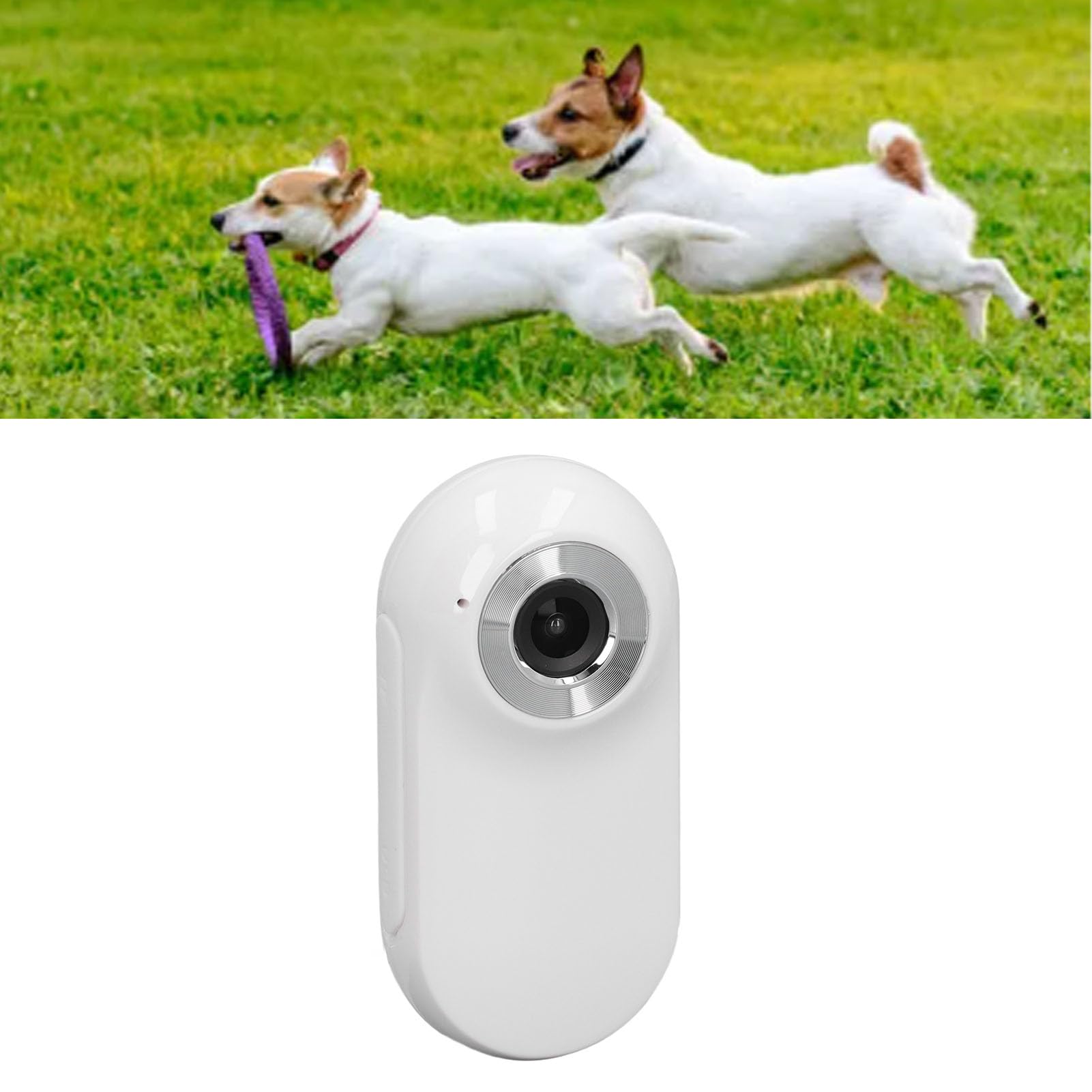 

Cat Dog Camera Collar with Camera Video Record Wireless Mini Sport Body Camera A