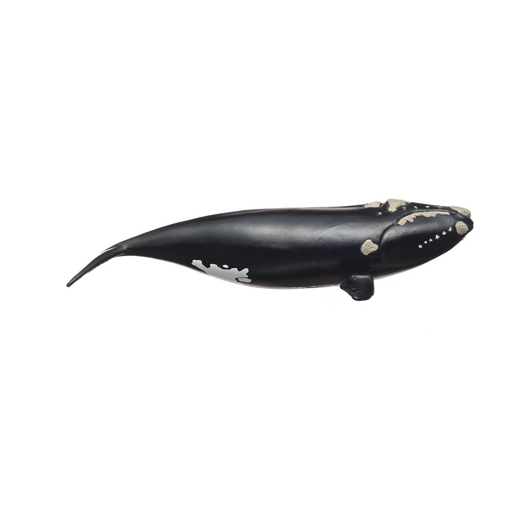 Schleich Wildlife North Atlantic Right Whale 14878