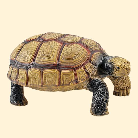 Turtle Cognitive Toys Adorable Delicate Plastic Galapagos Tortoise Decoration Model for Kids