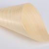 25Pcs Ice Cream Hand Roll Cone Wooden Disposable Biodegradable Party Supplies Snack Holders Presentation Cups