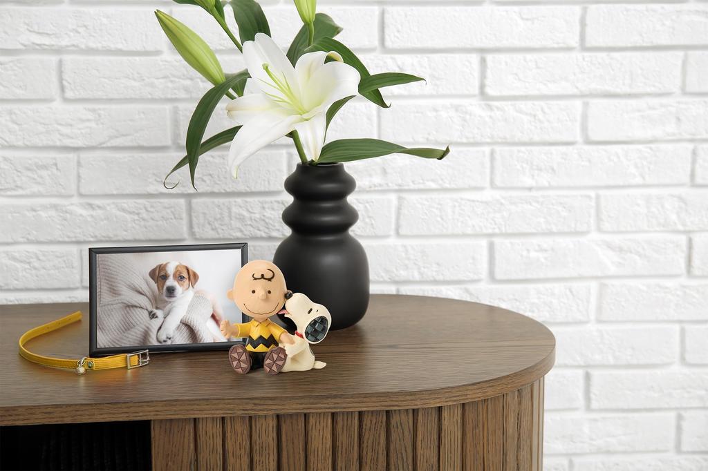 JIM SHORE Charlie Brown with Snoopy 6017915