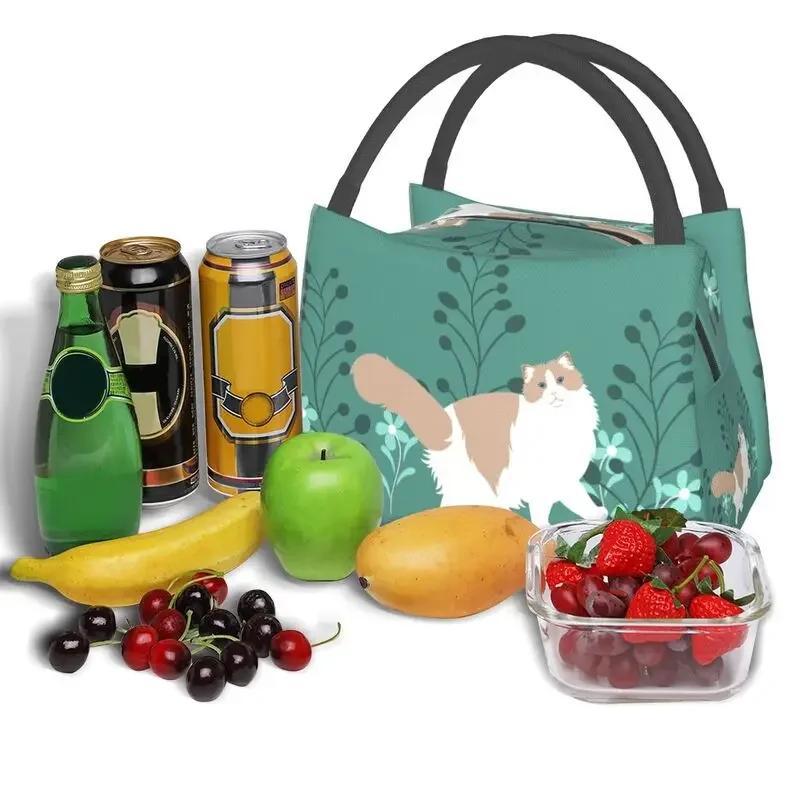 Benutzerdefinierte Elegante Ragdoll Katze Lunchtaschen Männer Frauen Warme Kühltasche Isolierte Lunchboxen für Arbeit Picknick oder Reise