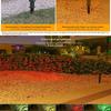 Solar Garden Spotlights Waterproof Adjustable Head Yard Lawn Landscape Lighting