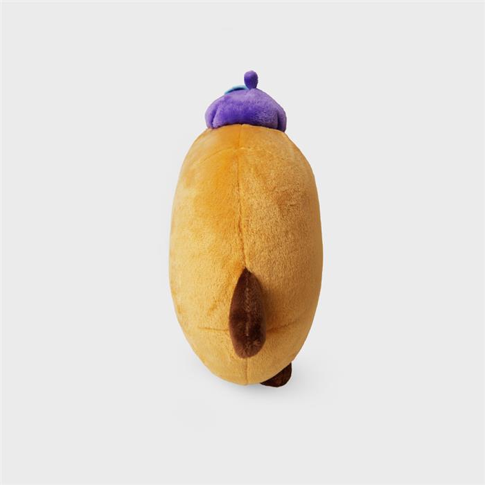 LINE FRIENDS BT21 SHOOKY Hopin' Love Face Cushion Plush