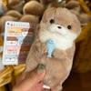 Cute Otters Plush Keyring 11cm Soft Doll Toy Gift For Bag Wallet Lightweight Hanging Pendant School Accessories