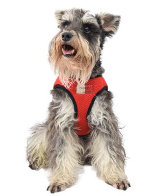 ASHU Hundegeschirr, Netz, Rot, L (Oberweite: 42-47cm), Tezukayama Hundekamera