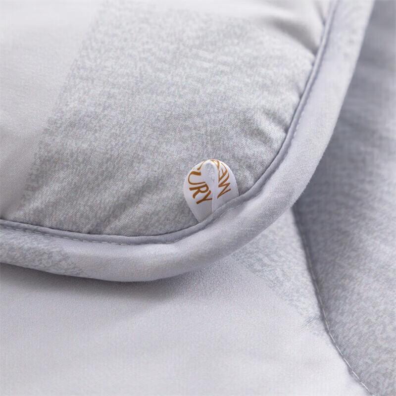 

Mercury Home Textiles All-Season Duvet Insert