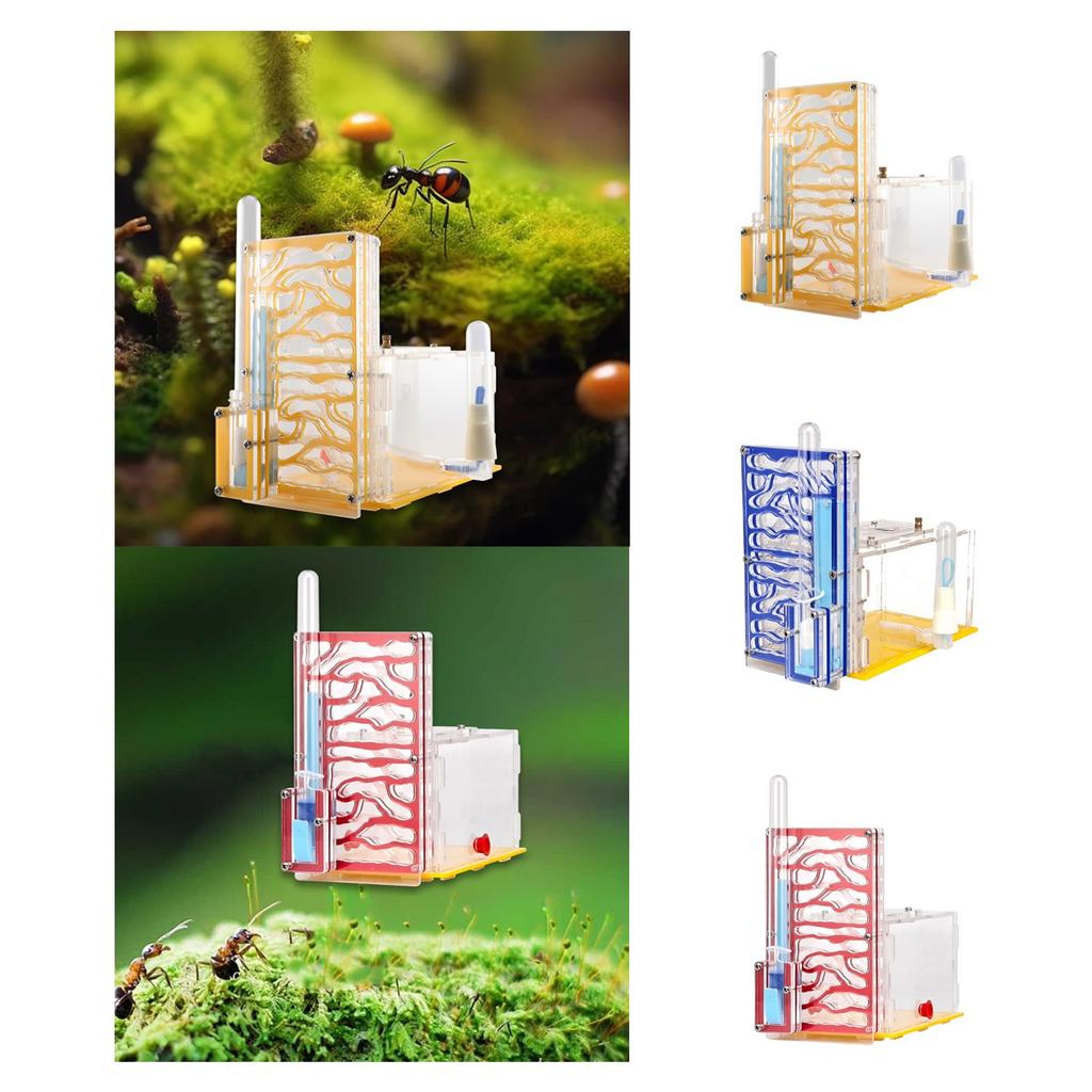 ANT Housing Nest DIY Funny Toys with Feeder Acrylic Habitat for Children's Day Lovers Decoration Tabletop Science Observation