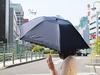 Nouvel Japonais Folding Sun and Rain UV Oriental Embroidery Parasol, Protection, Protection, (Navy)