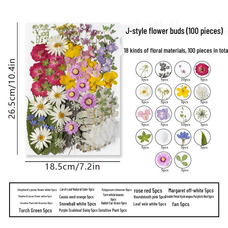 DIY Dried Flower Specimen Sticker Set for Kids: Handmade Pressed Flower Frames & Resin Bookmark Craft Kit