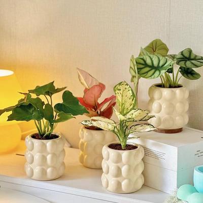 Deko & Wohnaccessoires – Dekorative Blumentöpfe
