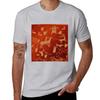 Petroglyphs on newspaper rock at Canyonlands national park Tshirt quick drying boys animal print sweat shirts men