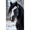 A Stylish Horse Pattern 5D Frameless Full Diamond Painting Kit - for Desktop Decoration, Wall Art, Home Decor, And Holiday Handmade Gifts