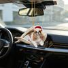 2Pcs Sleeping Dog Car Hanging Ornament, Acrylic 2D Flat Pendant, Cute Animal Rearview Mirror Charm, Christmas Gift Keychain