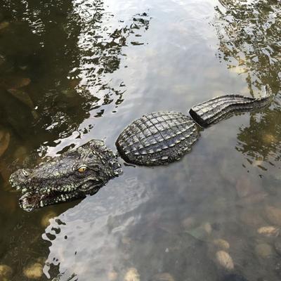 Crocodile Figurines Realistic Durable Resin Crocodile Floating Outdoor Statues for Garden