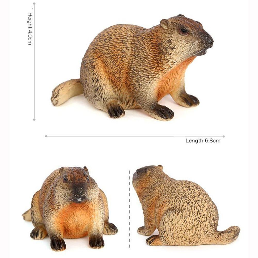 PVC Wild Animal Figurine Marmot Plastic Groundhog Ornament Realistic Animal Ornament  Office