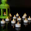 LED Electronic Candle Lights - Romantic Proposal and Decorative Tea Light Simulation