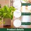 2/4/6Pcs New Plant Climbing Moss Poles Plastic Adjustable Height Plants Growing Support Stand  Indoor Plant Stake Growing Pole