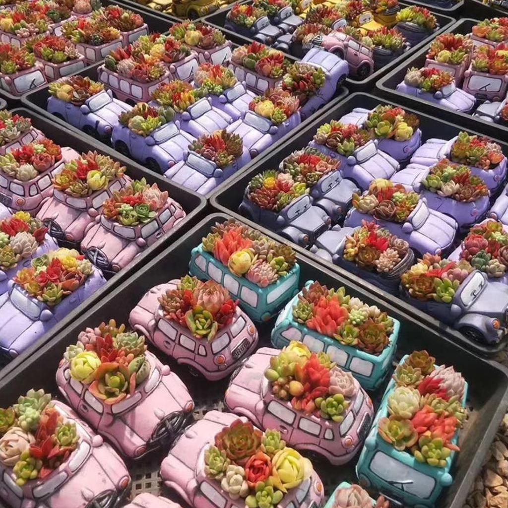 Succulents Flower Pot Resin Silicone Mold Suitable for Diy Garden Concrete Pen Holder Candle Holder Crafts Home Decor