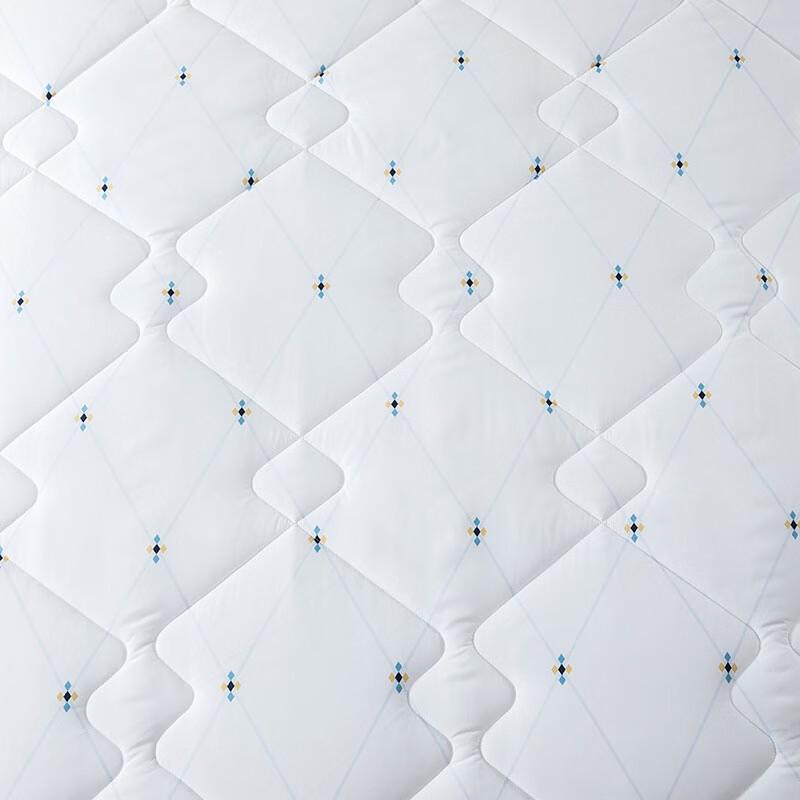 LUOLAI Yisha Spring Autumn Polyester Duvet Insert