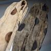 100% Mulberry Silk Polka Dot Scarf Lightweight Shawl Vintage Style Unisex
