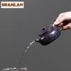220ml Aesthetic Yixing Purple Clay Teapots Handmade Coin  Large Caliber Pot Raw Ore Dragon's Blood Sand Kettle Zisha Tea Set