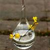 Creative Hanging Glass Vase Transparent Hydroponics Plant Vases Wedding Home Decoration Droplet Shaped Vase Garden Supplies